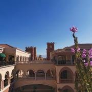 沁雨的个人资料头像