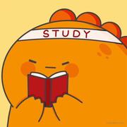 yy_fe的个人资料头像