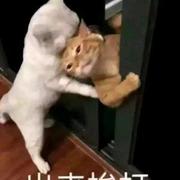 康颜的个人资料头像
