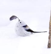 3sy11的个人资料头像