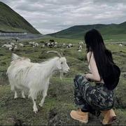 O椰的个人资料头像