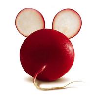 用户3200384963637头像