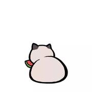 冷一一的个人资料头像