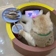 JuIce的个人资料头像