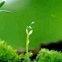 用户879028908篮天头像