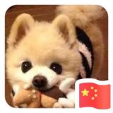 Bevis867头像