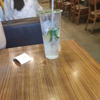 笨笨小乌龜头像