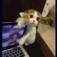 红红火火5702头像