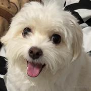 xiuEightGa的个人资料头像