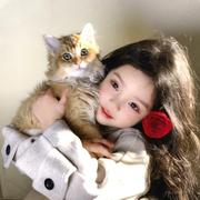 暖阳晒太阳的个人资料头像