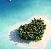 抹茶生活866头像