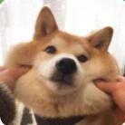 livin的个人资料头像