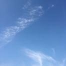 俊飞大哥的个人资料头像