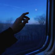 Cerulean丶的个人资料头像