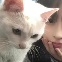 用户702723043788头像