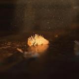 说车小辅助头像