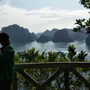 有缘人833的个人资料头像