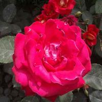 雾里看花36039头像