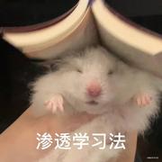 沈一_Forina的个人资料头像
