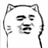 Leshphon张义轩头像