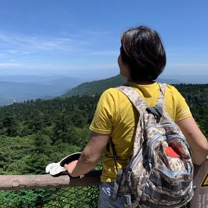 海龟登岛头像