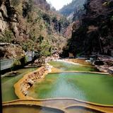 春和景明头像