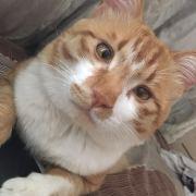 helang1991的个人资料头像