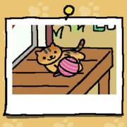 零问题的个人资料头像