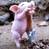 户外探险头像