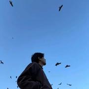 大大问号的个人资料头像