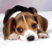 allesx的个人资料头像