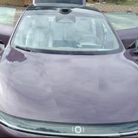 单纯枫叶林头像