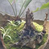 青青草7855头像