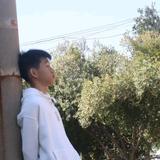 凯迪影影风头像