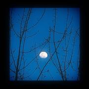 星森的个人资料头像