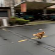 韶华217的个人资料头像