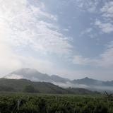 老黄影剪头像