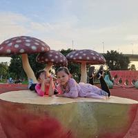 梦想改变未来955头像