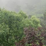 用户4790576543655头像