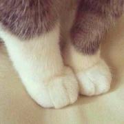 我是妖妖呀的个人资料头像