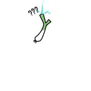 cscxzxzc的个人资料头像