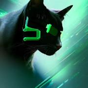 大鱼不会流泪的个人资料头像