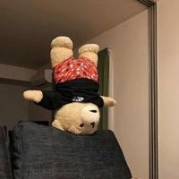 咦狐臭头像