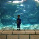 豆君68781的个人资料头像