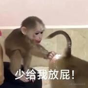 用户12712357711的个人资料头像