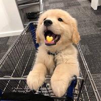 用户3816812262837头像