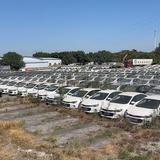 广州彬仔批车头像