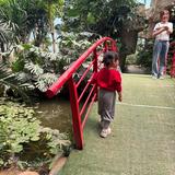 用户1895359518066头像