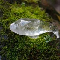 用户7317427892594头像