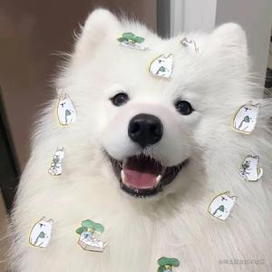  JavaScript 面向对象编程：从构造函数到原型继承的完整指南